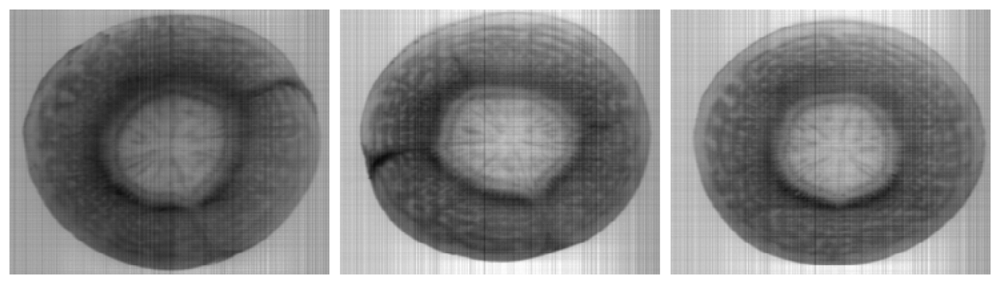 Sensors 08 03287f11