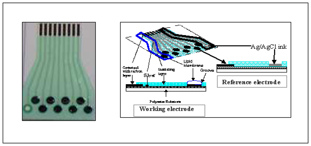 Sensors 08 03665f1
