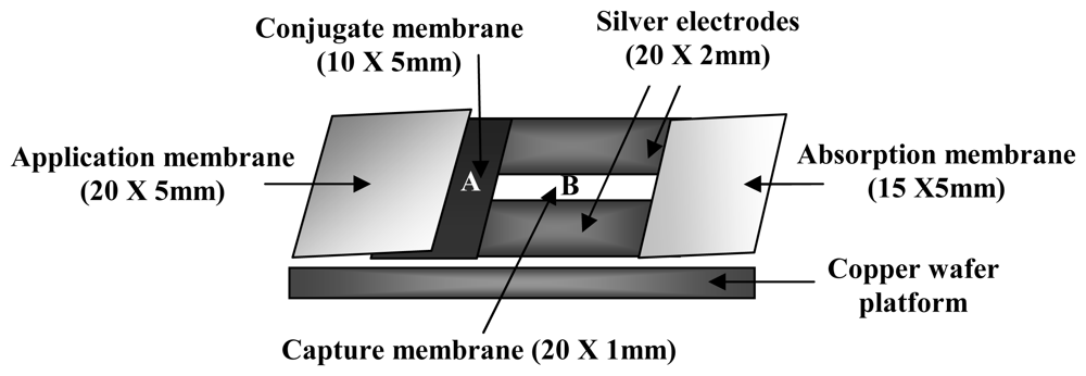 Sensors 08 06015f3