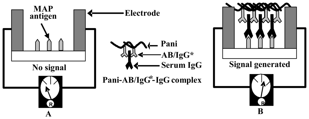 Sensors 08 06015f4