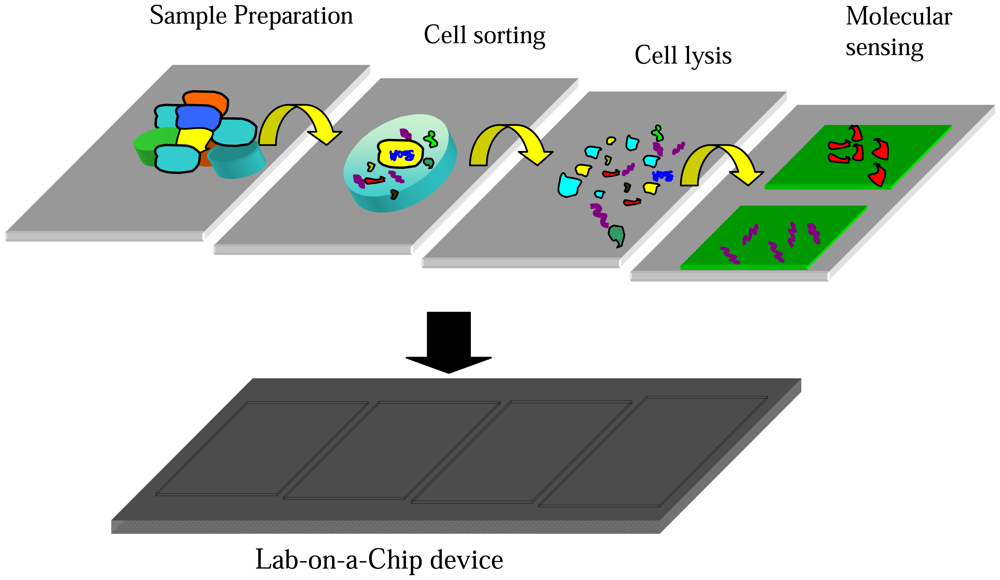 Sensors 08 06077f3 1024