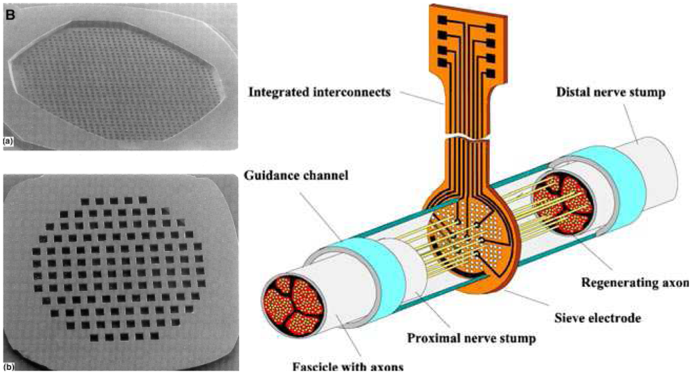 Sensors 08 06077f8 1024