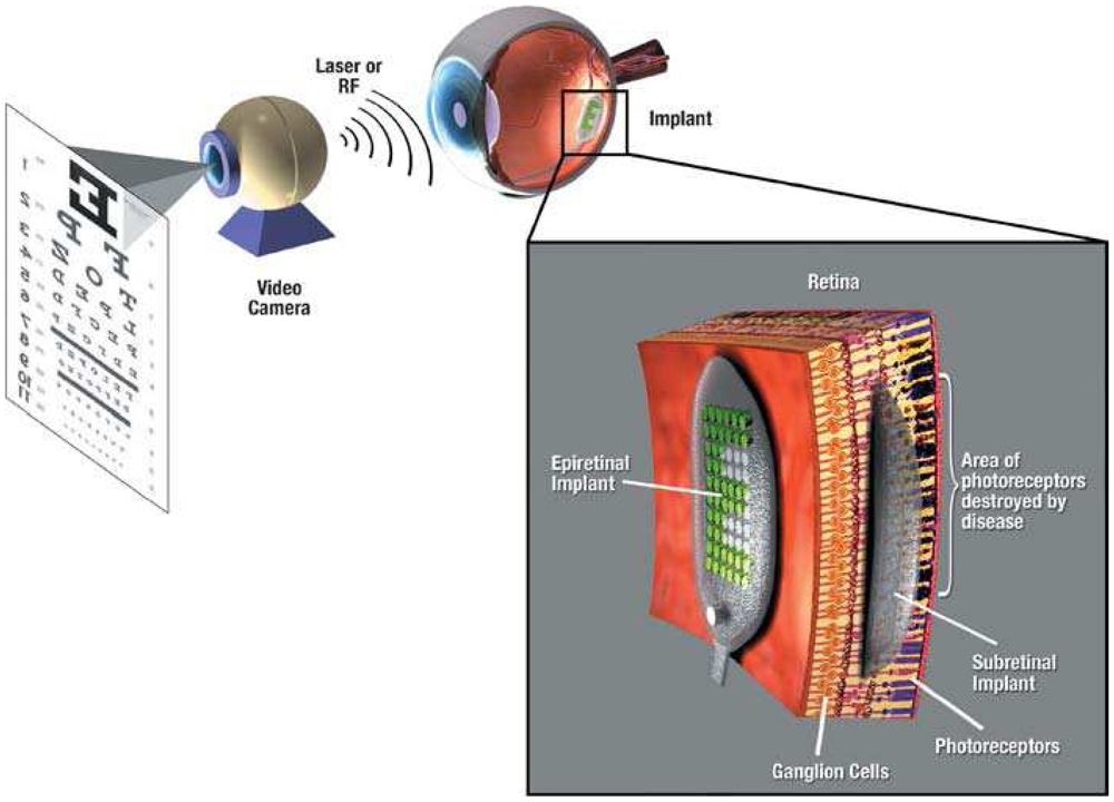 Sensors 08 06077f9 1024