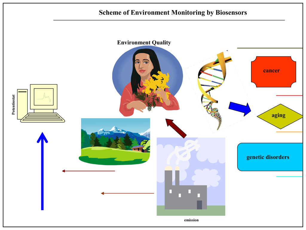 Sensors 08 06125f2 1024