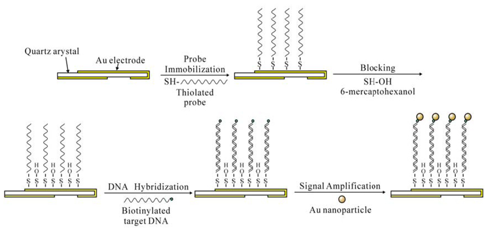 Sensors 08 06453f2