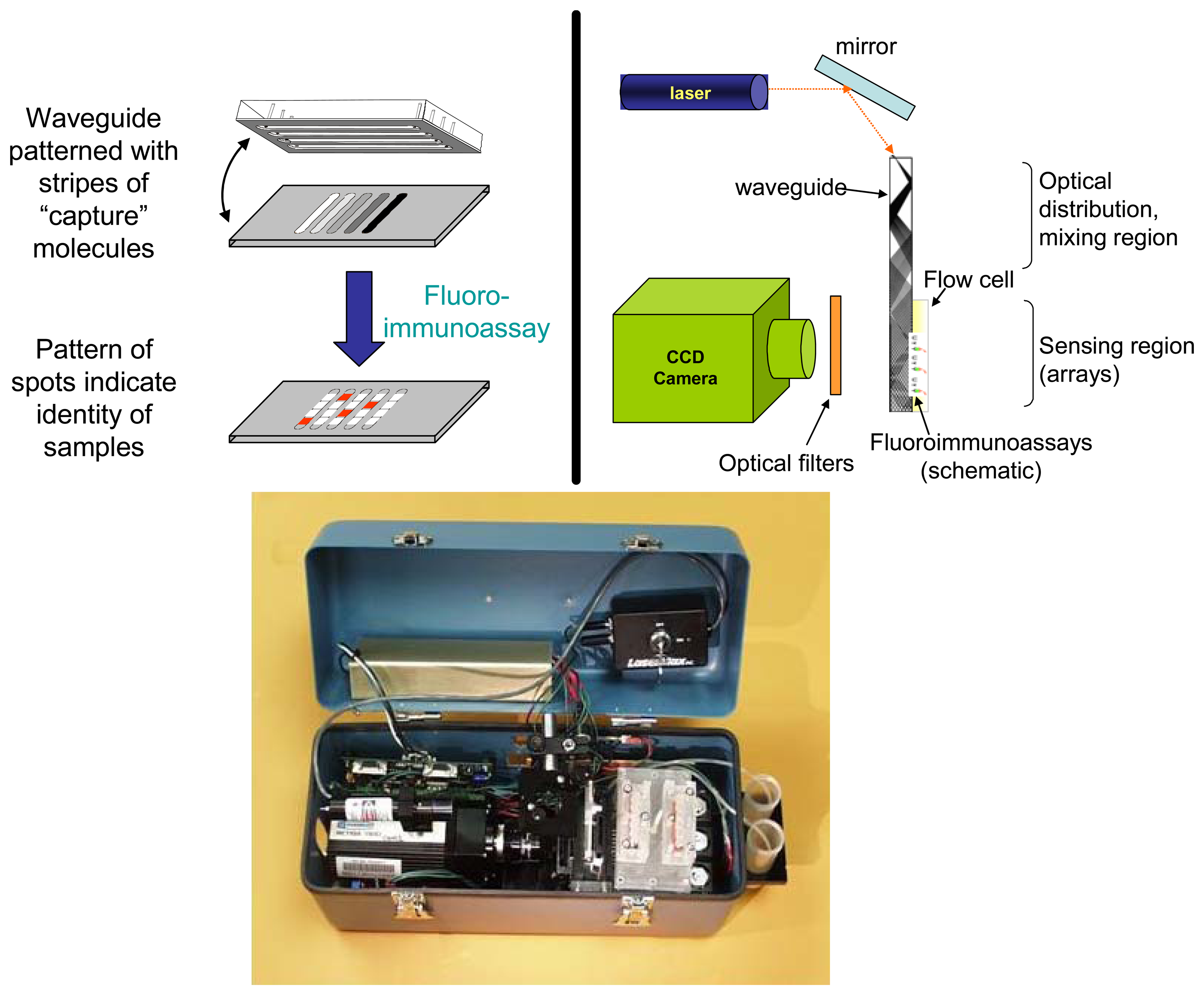 Sensors 08 08361f1