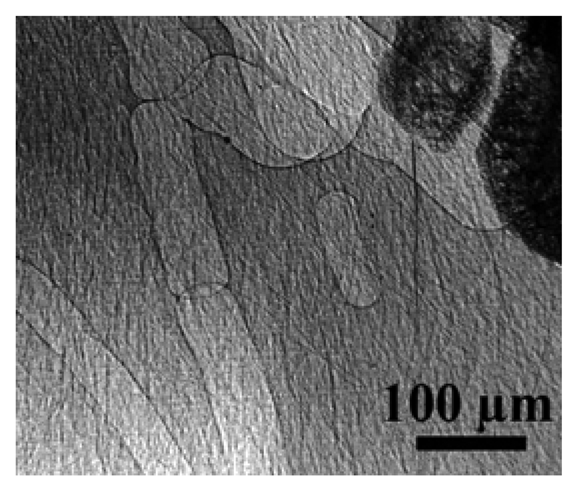 Sensors 08 08378f1