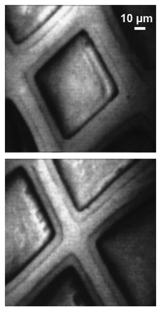 Sensors 08 08378f10