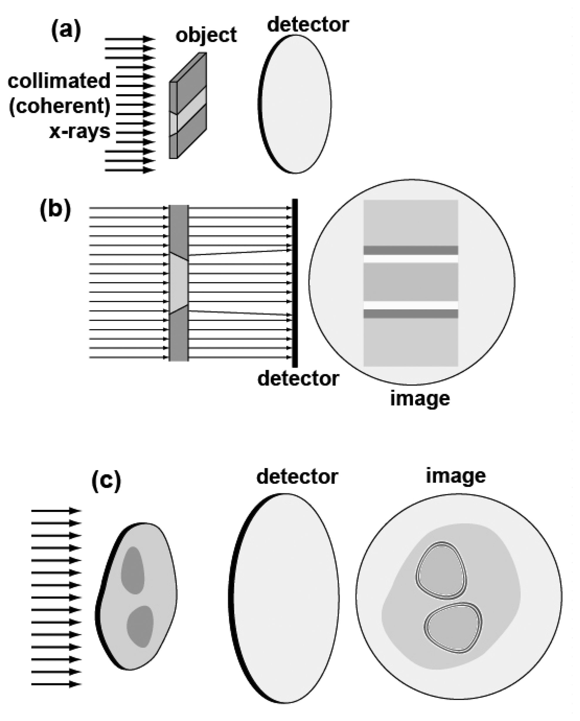 Sensors 08 08378f14