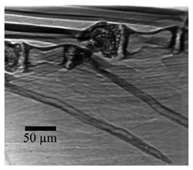 Sensors 08 08378f17