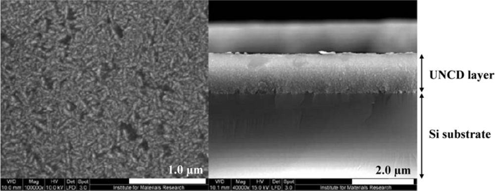 Sensors 09 05600f5
