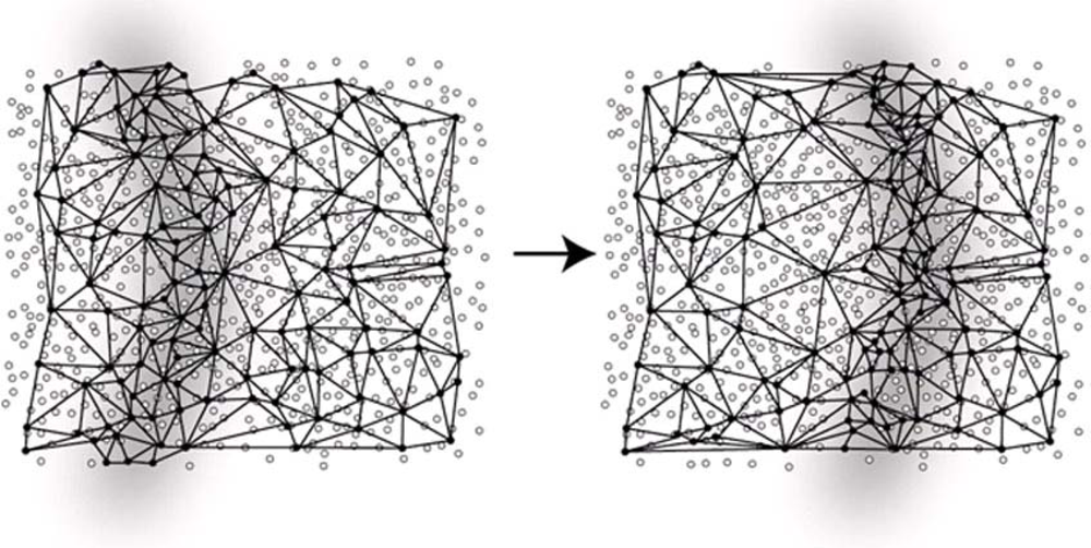 Sensors 09 05664f2 1024