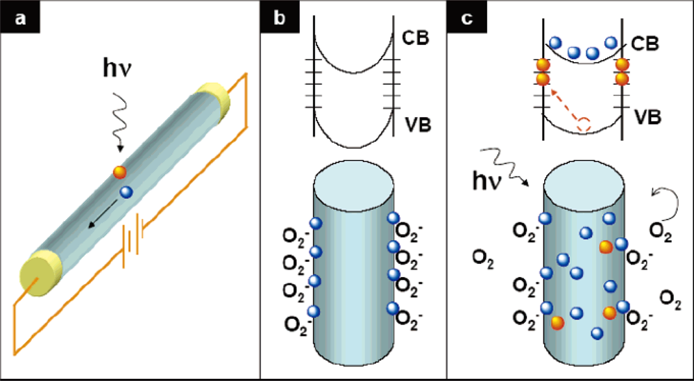 Sensors 09 06504f1