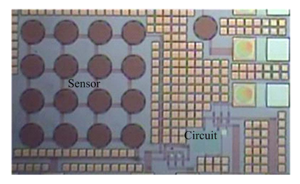 Sensors 09 10158f8