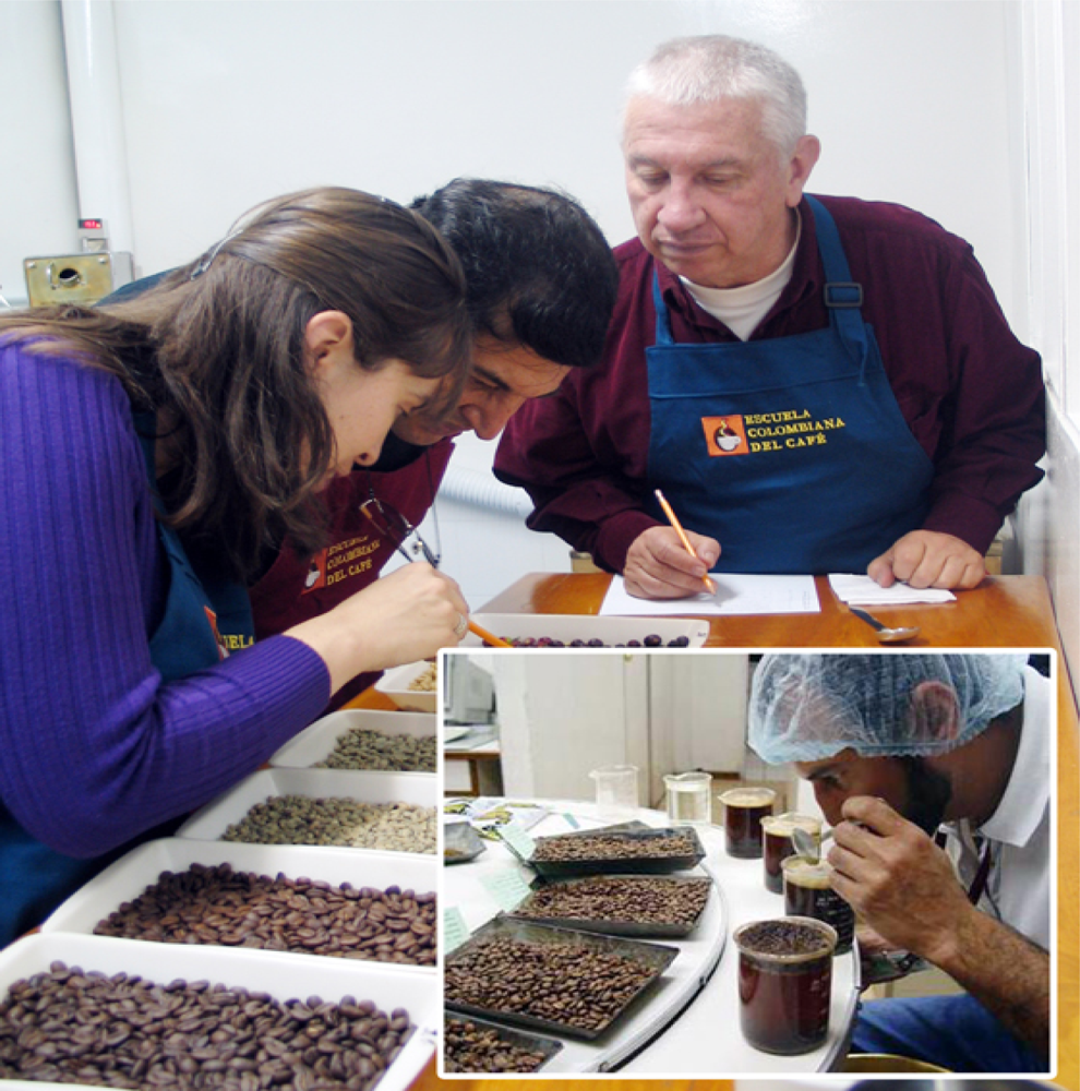 Sensors 10 00036f1 1024