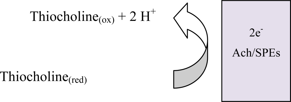 Sensors 10 02119f4 1024