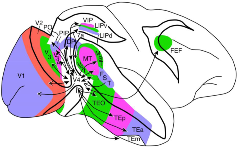 Sensors 10 03218f2 1024