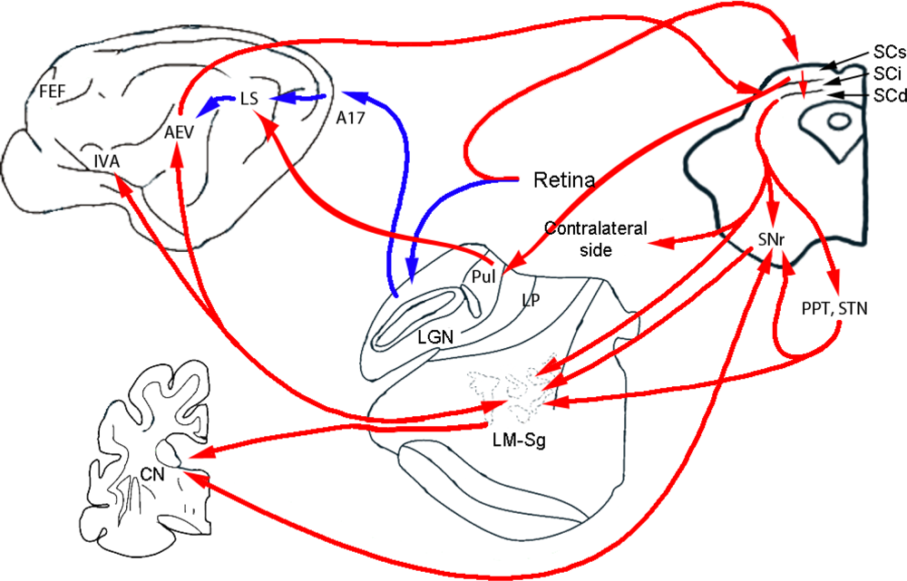 Sensors 10 03218f3 1024