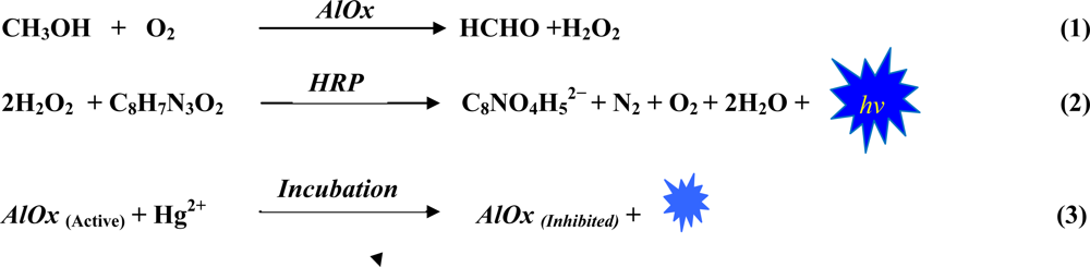 Sensors 10 06377f9 1024