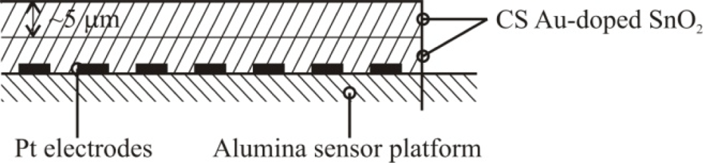 Sensors 10 07002i1