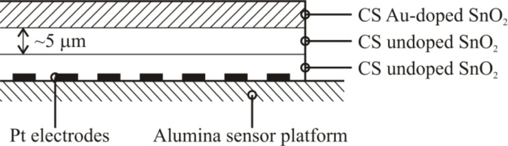 Sensors 10 07002i4