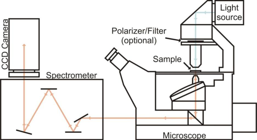 Sensors 10 09808f15 1024