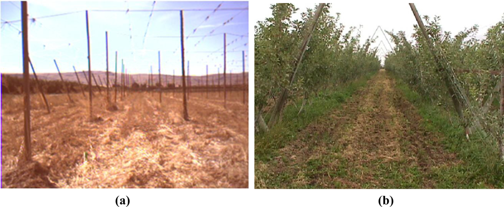 Sensors 10 11226f1 1024