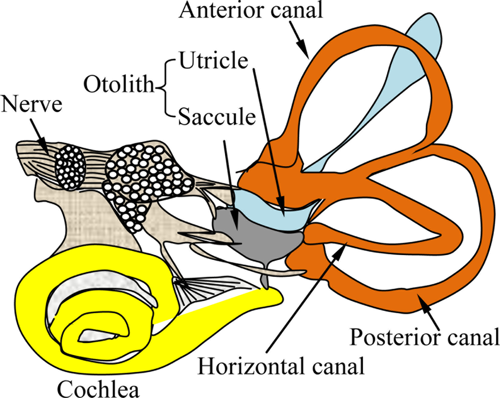 Sensors 11 00638f2 1024