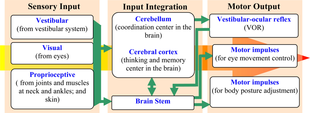 Sensors 11 00638f3 1024
