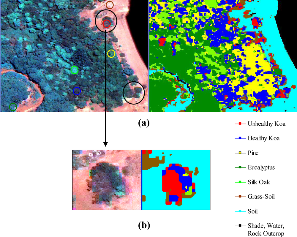 Sensors 11 05677f5 1024
