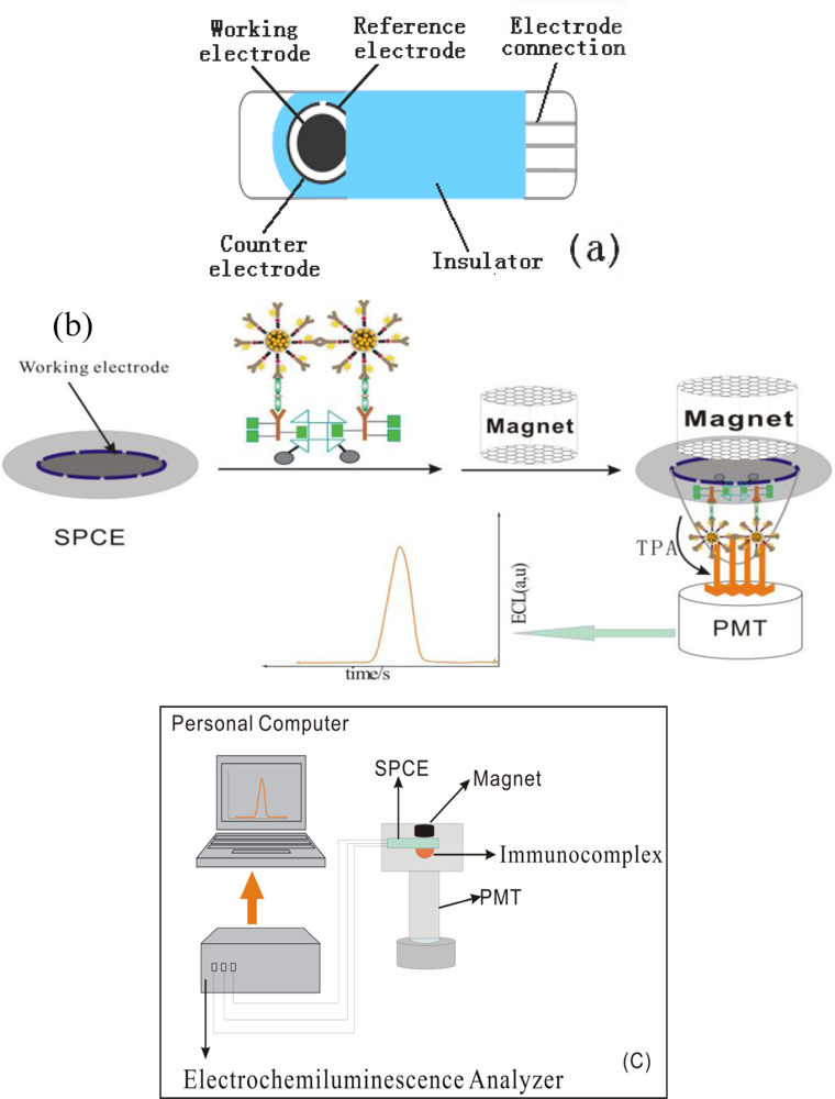 Sensors 11 07749f10 1024