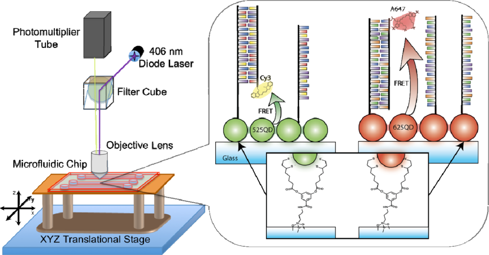 Sensors 11 09732f3 1024