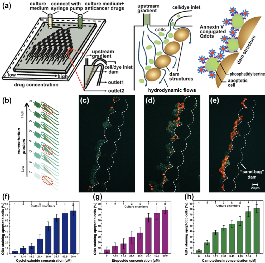 Sensors 11 09732f6 1024