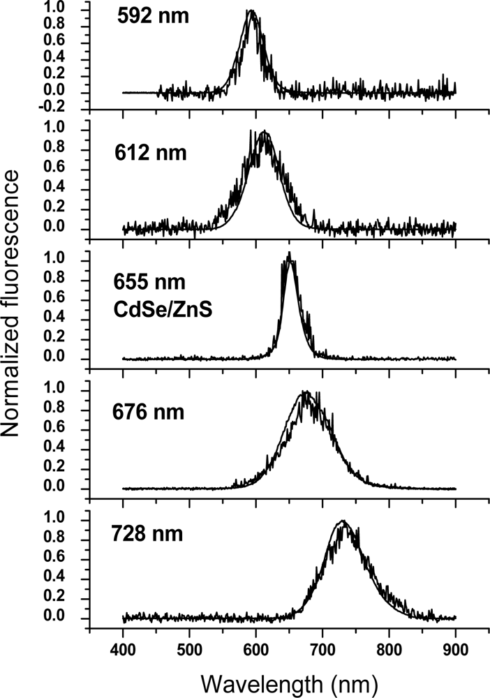 Sensors 11 11335f1 1024
