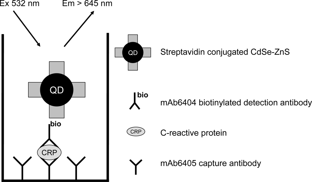 Sensors 11 11335f4 1024
