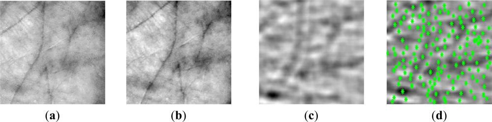 Sensors 12 01352f15 1024