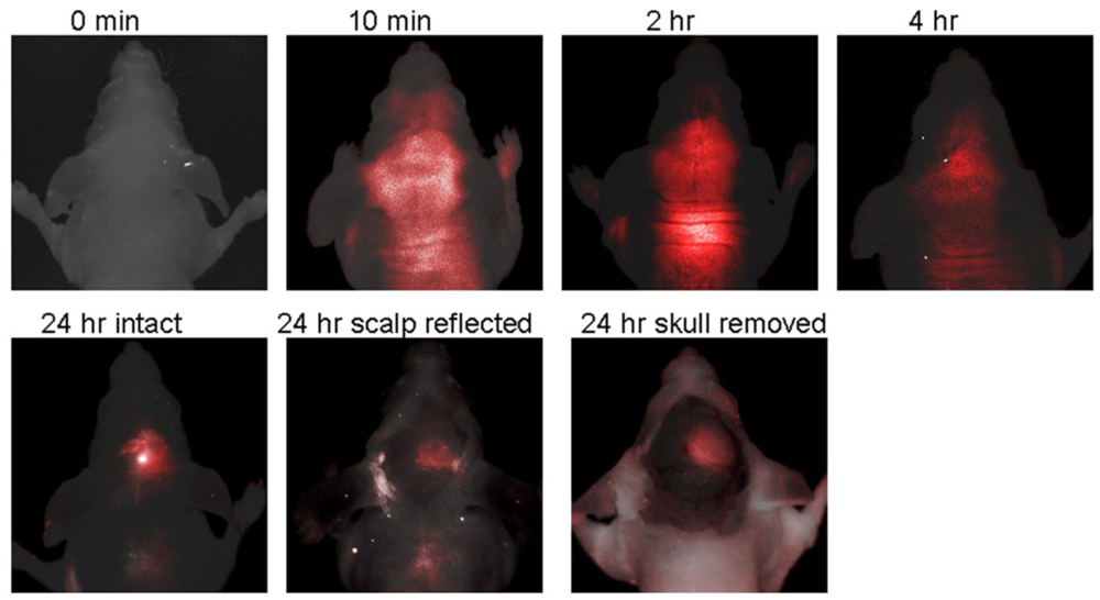 Sensors 12 05005f6 1024