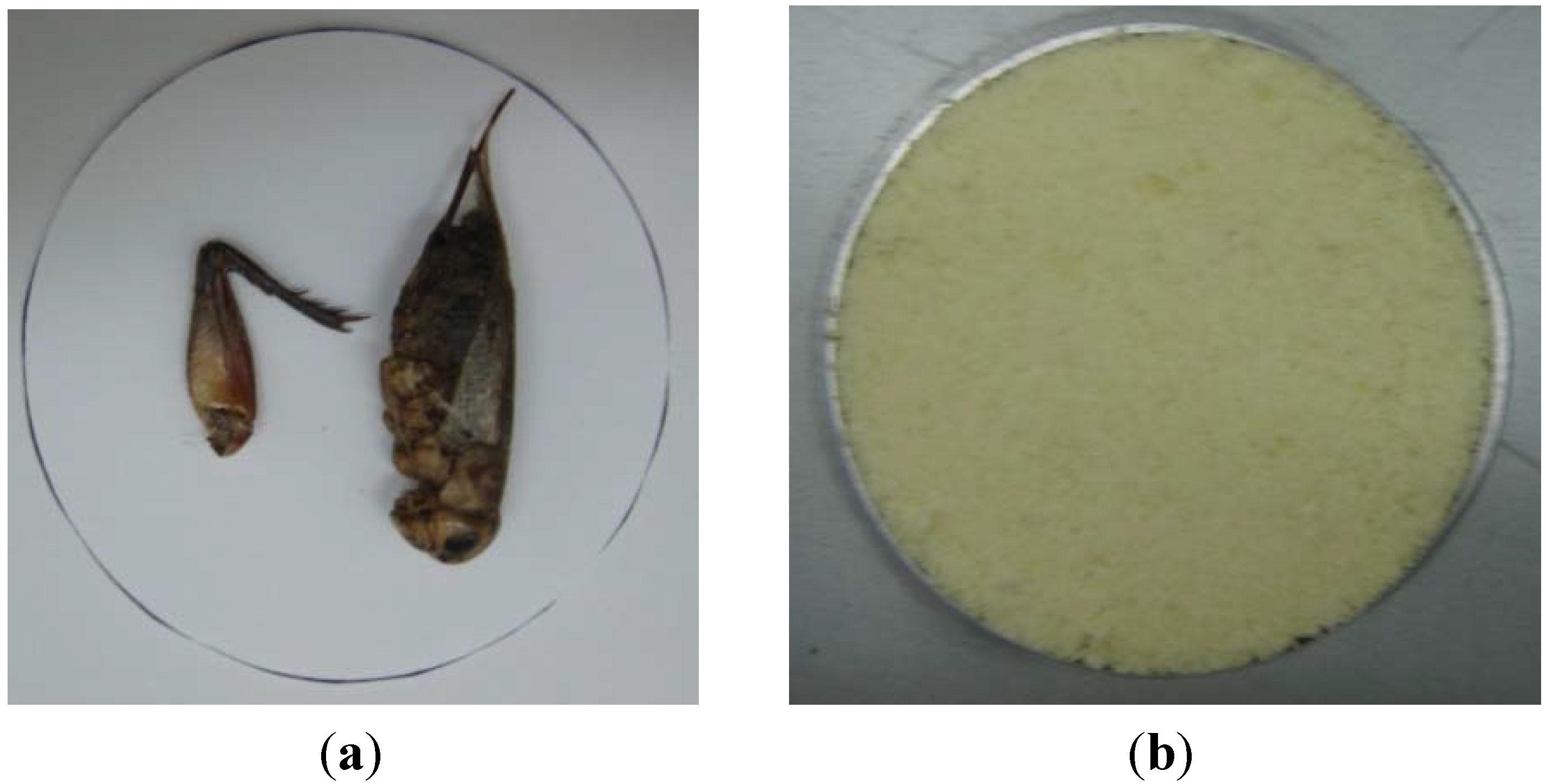 Sensors 13 00071 g004
