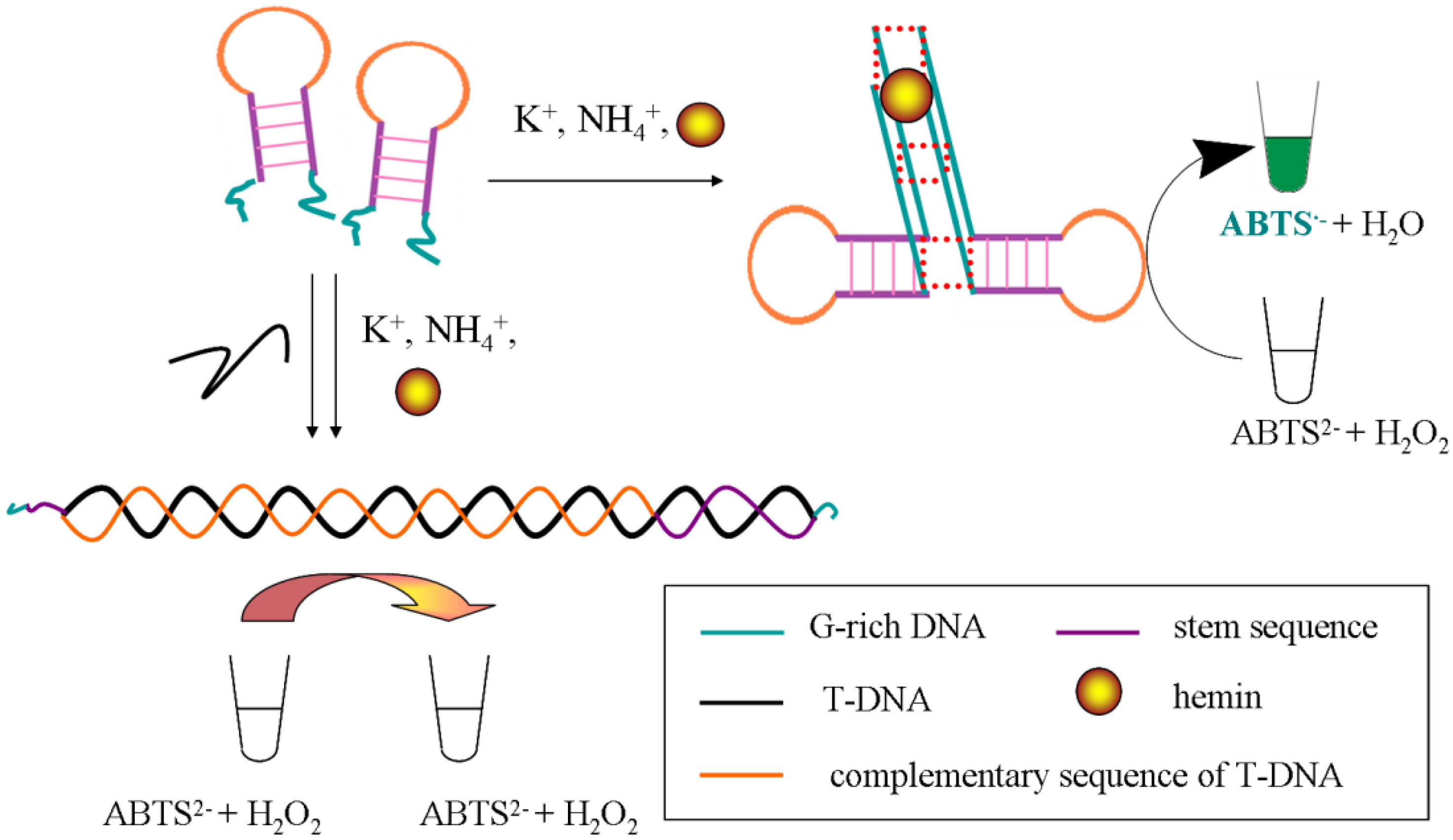 Sensors 13 01064 g001