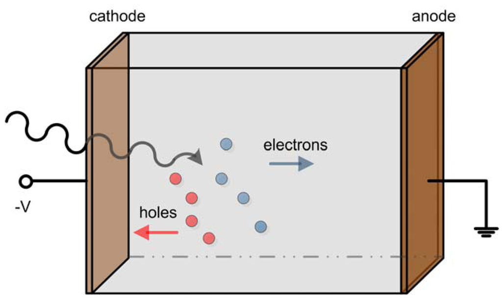 Sensors 13 02447f1 1024