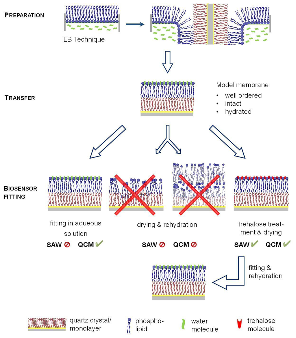 Sensors 13 12392f1 1024