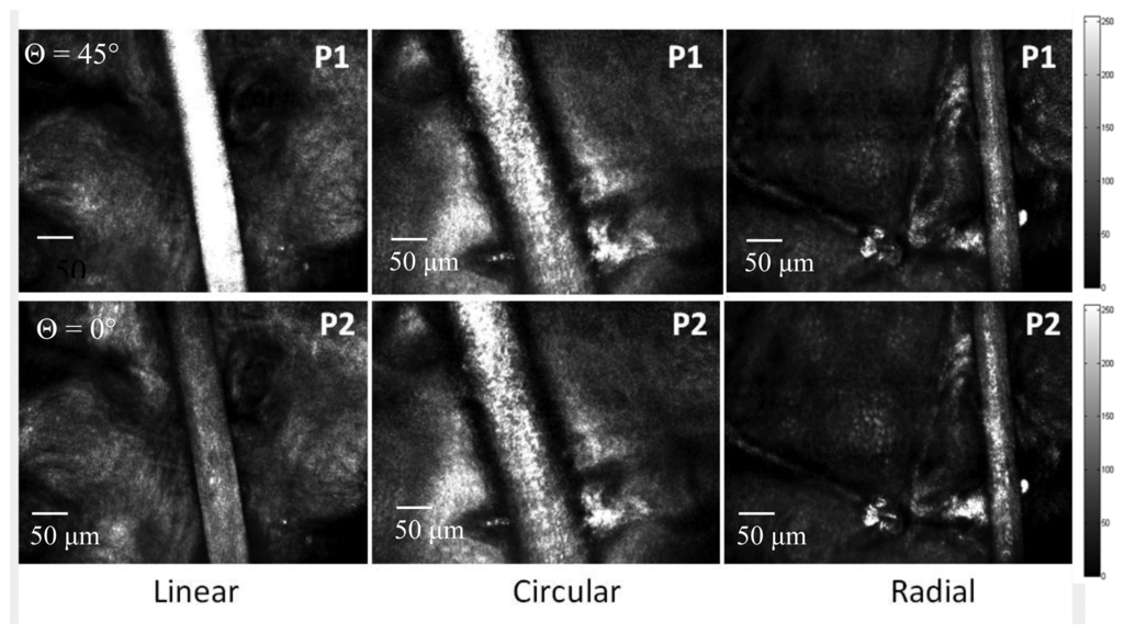 Sensors 13 12527f3 1024