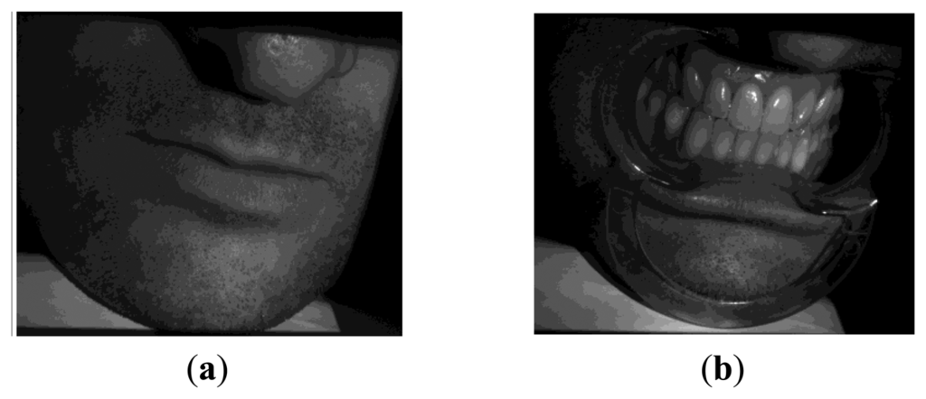 Sensors 13 13802f18 1024