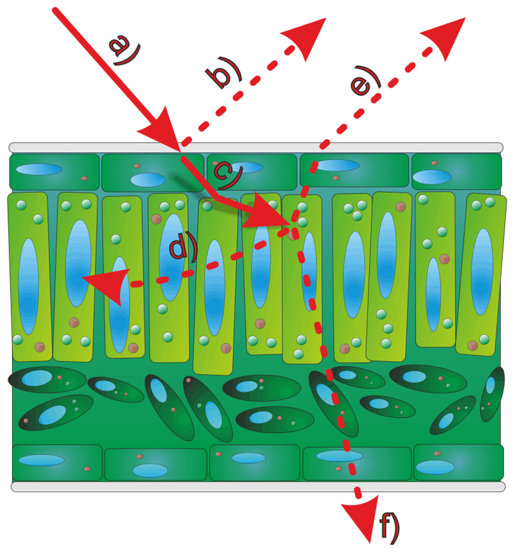 Sensors 14 02489f1 1024