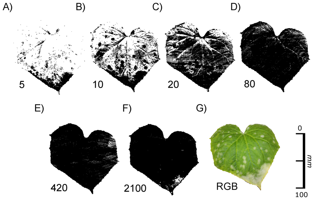 Sensors 14 02489f10 1024