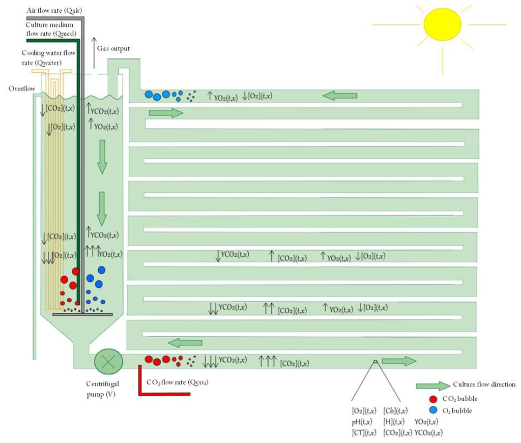 Sensors 14 04466f10 1024
