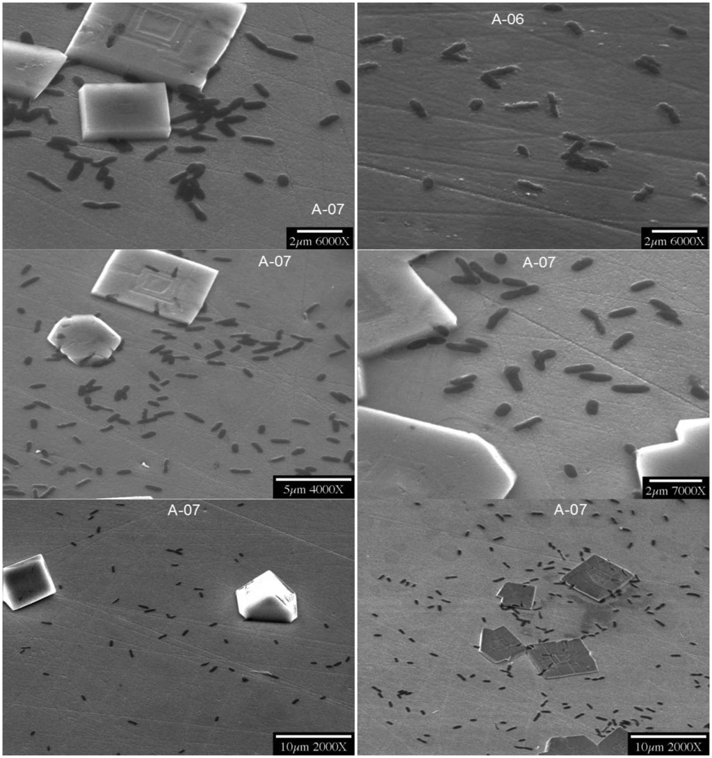 Sensors 14 11225f1 1024