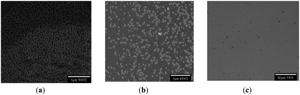 Sensors 14 11225f2 1024