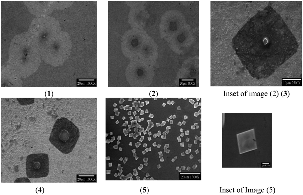 Sensors 14 11225f4 1024