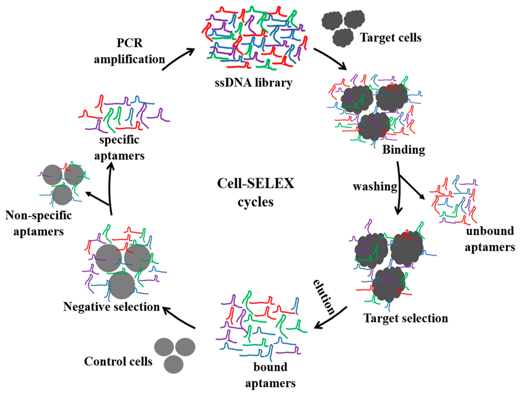 Sensors 14 18302f1 1024